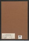 Amphipentas ? grovei (Pant.) De-Toni (de-Toni-Nr.: Genus 138, Species 3681) Zeichnungen Sammlung Grunow Mappe 03801 (Herbarium_W_Grunow_drawings_Folder_03801)